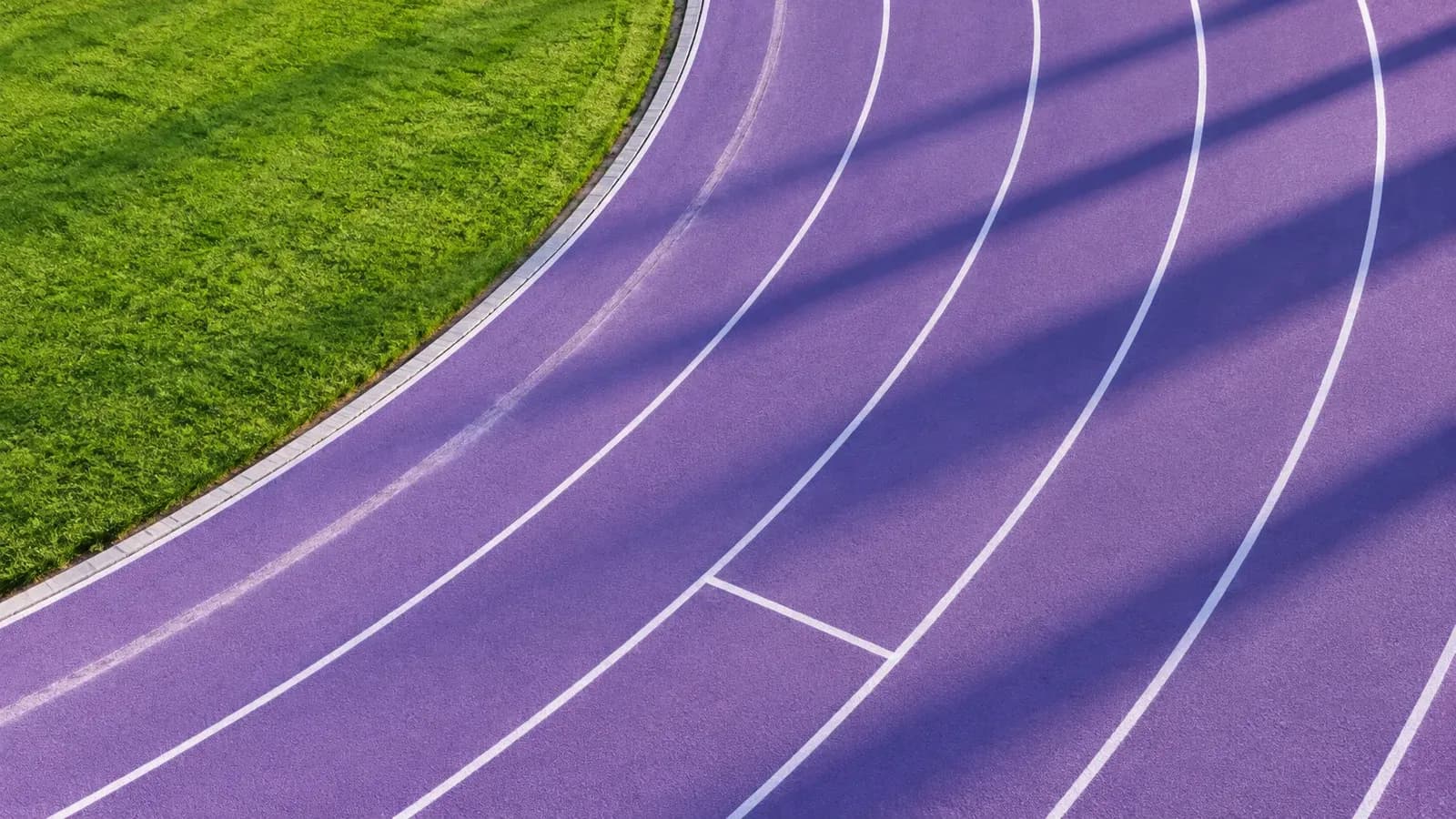 Aerial view of an empty running track with lilac and lavender lanes, white lane lines, and a slightly worn inner lane curving past green grass in low morning sun.